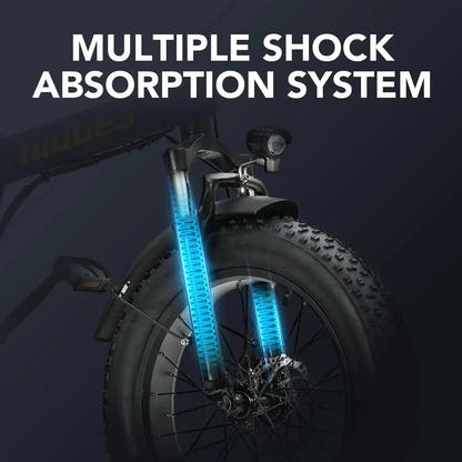 Hidoes F3 Electric Bike Fat Tyre Commuter with Removable Battery up to 45 Km/h