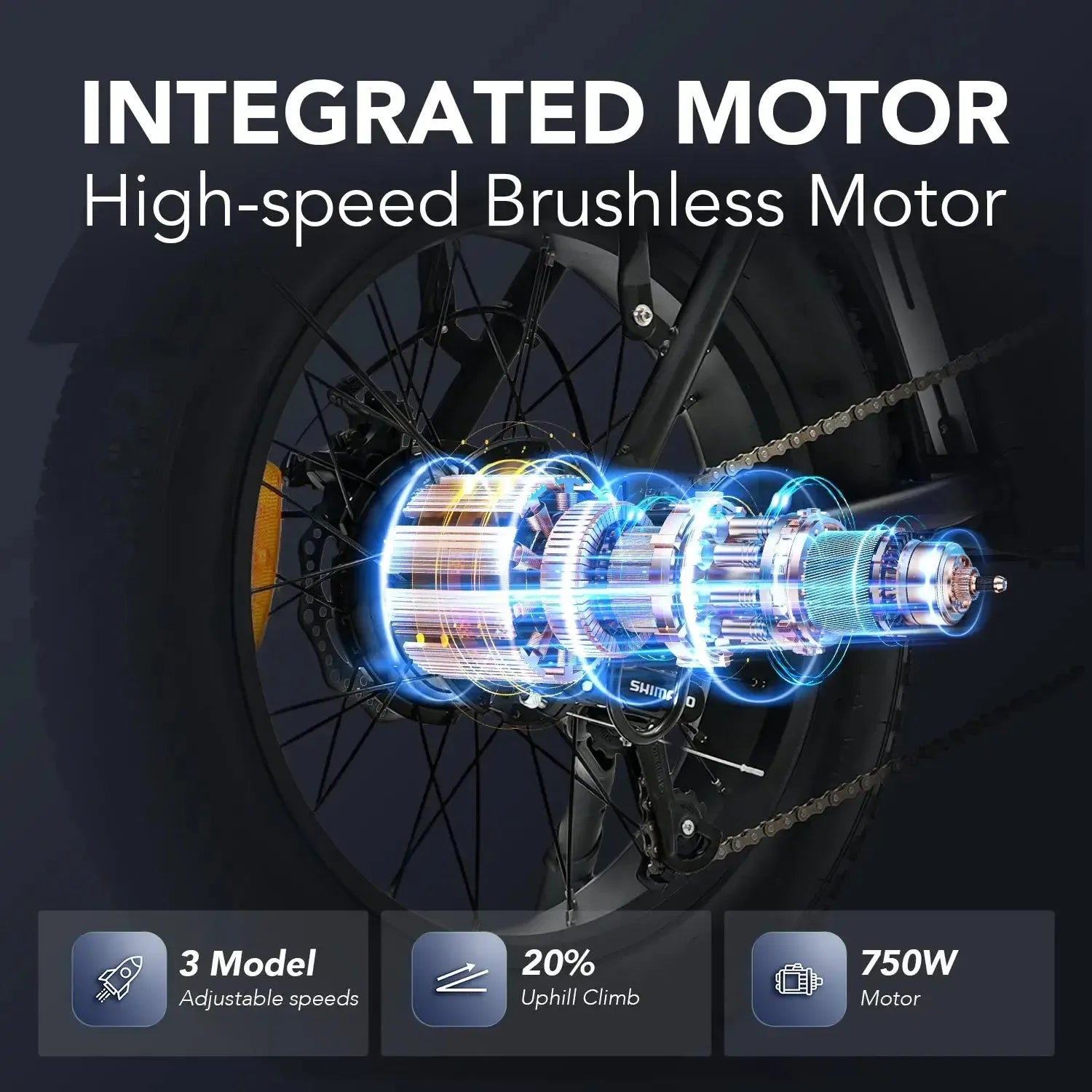 Hidoes F3 Electric Bike