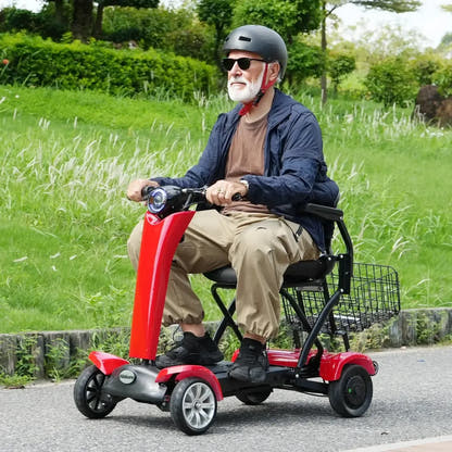 Hidoes P1 Foldable Electric Scooter with Seat and Removable Battery up to up to 20 Km/h