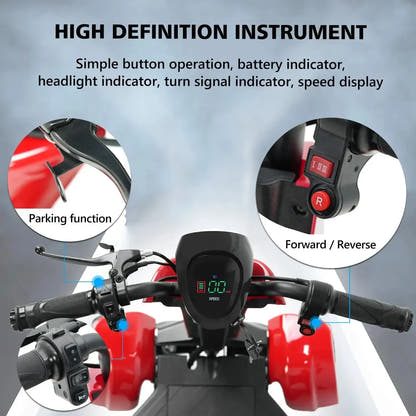 Hidoes P1 Foldable Electric Scooter with Seat and Removable Battery up to up to 20 Km/h