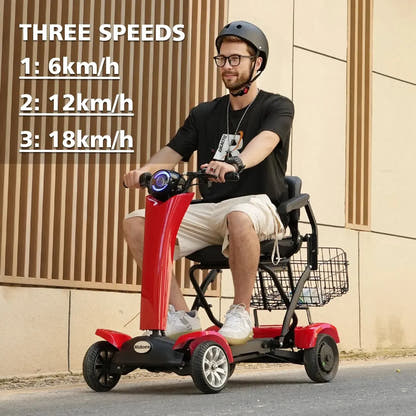 Hidoes P1 Foldable Electric Scooter with Seat and Removable Battery up to up to 20 Km/h
