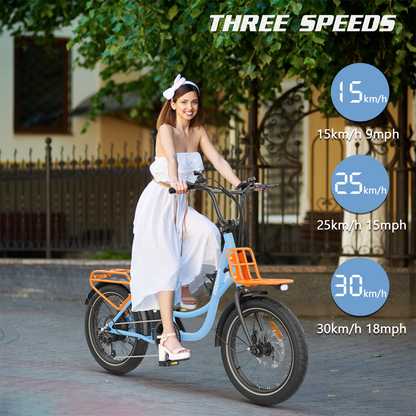 Hidoes C6 Folding Electric Bike – 250 W Rear Hub Motor, 36 V 13 Ah Battery, 20″×3.0″ Fat Tires, 18.6 mph (30 km/h) Top Speed, 18.6–21.7 mi (30–35 km) Range, 7-Speed Shimano Gears, Full Suspension Frame - 2025 Edition – Current Market Release