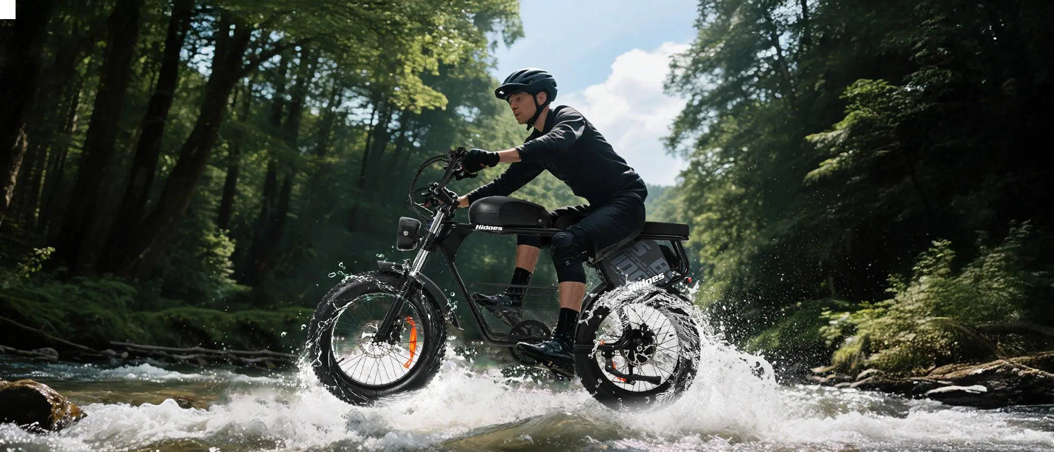 Hidoes_Electric_Bike