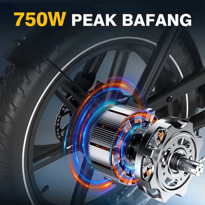 Bici elettrica a doppia batteria Koolux X9 Pro