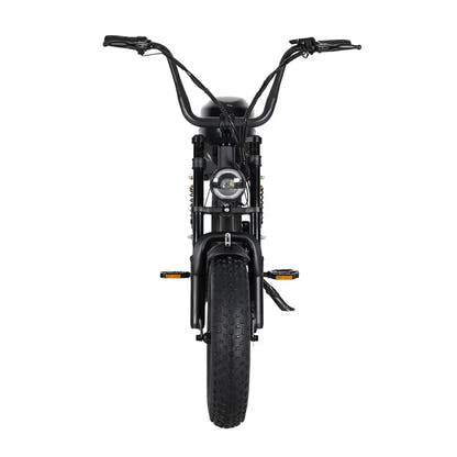 Mangosteen FT02 Mini Electric Bike Fat Tyre Long Range with LCD up to 50 Km/h