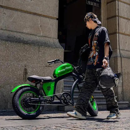 Mangosteen FT02 Mini Electric Bike Fat Tyre Long Range with LCD up to 50 Km/h