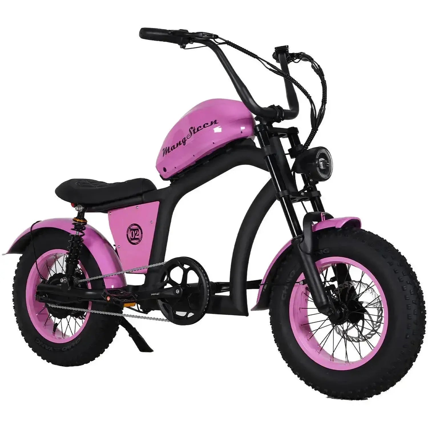 Mangosteen FT02 Mini Electric Bike Fat Tyre Long Range with LCD up to 50 Km/h