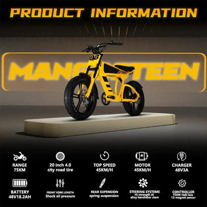 Mangosteen FT03 Electric Bike Fat Tyre Long Range with Hydraulic Brakes up to 50 Km/h