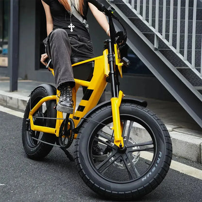 Mangosteen FT03 Electric Bike