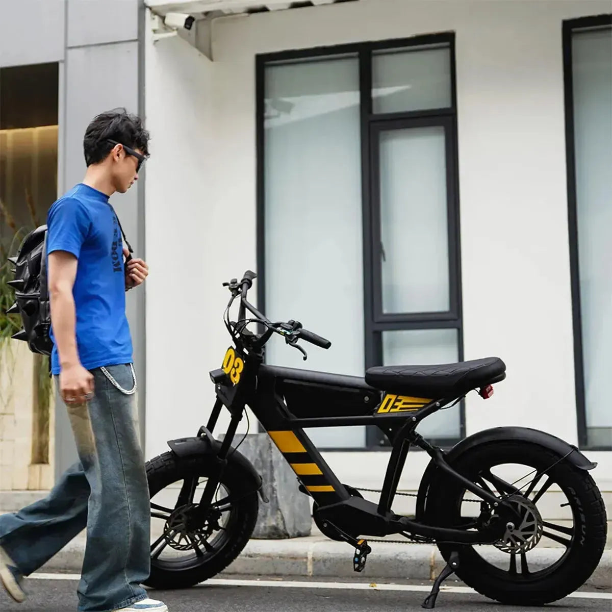 Mangosteen FT03 Electric Bike