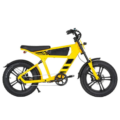 Mangosteen FT03 Electric Bike Fat Tyre Long Range with Hydraulic Brakes up to 50 Km/h