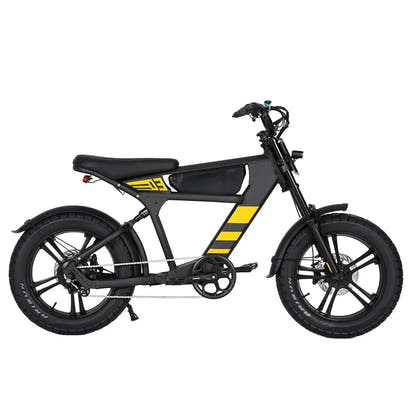 Mangosteen FT03 Electric Bike Fat Tyre Long Range with Hydraulic Brakes up to 50 Km/h