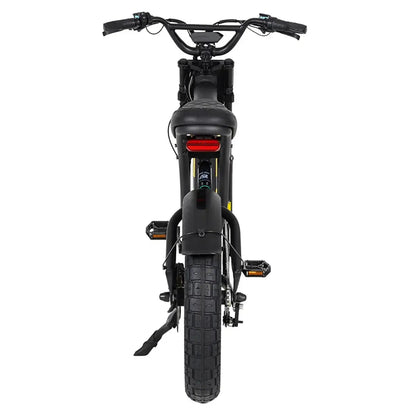 Mangosteen FT03 Electric Bike