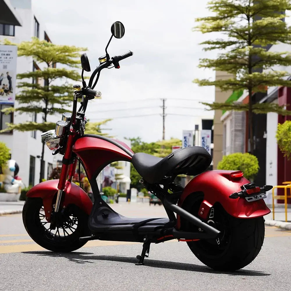 Mangosteen-M1P-2