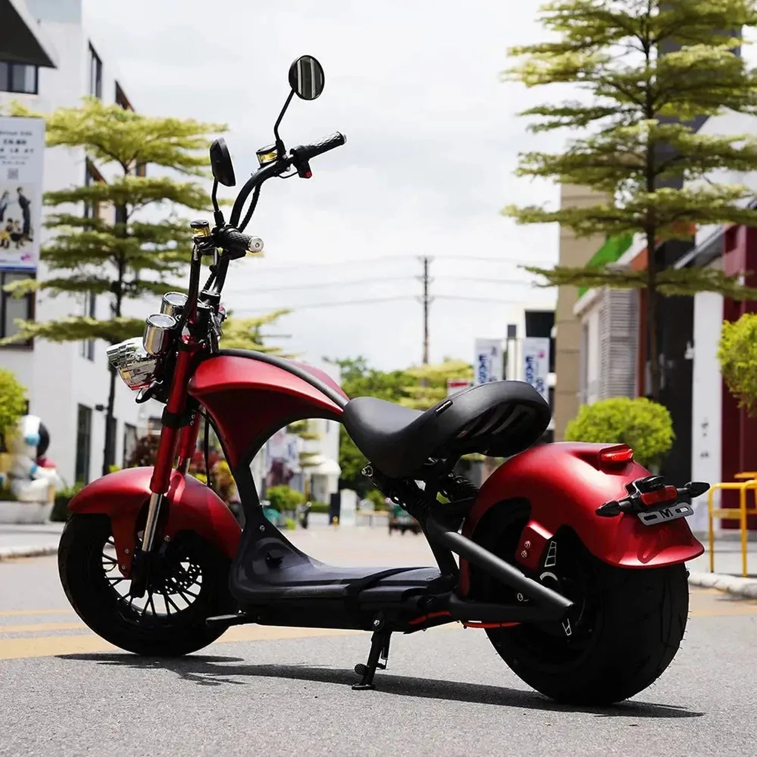 Mangosteen-M1P-2