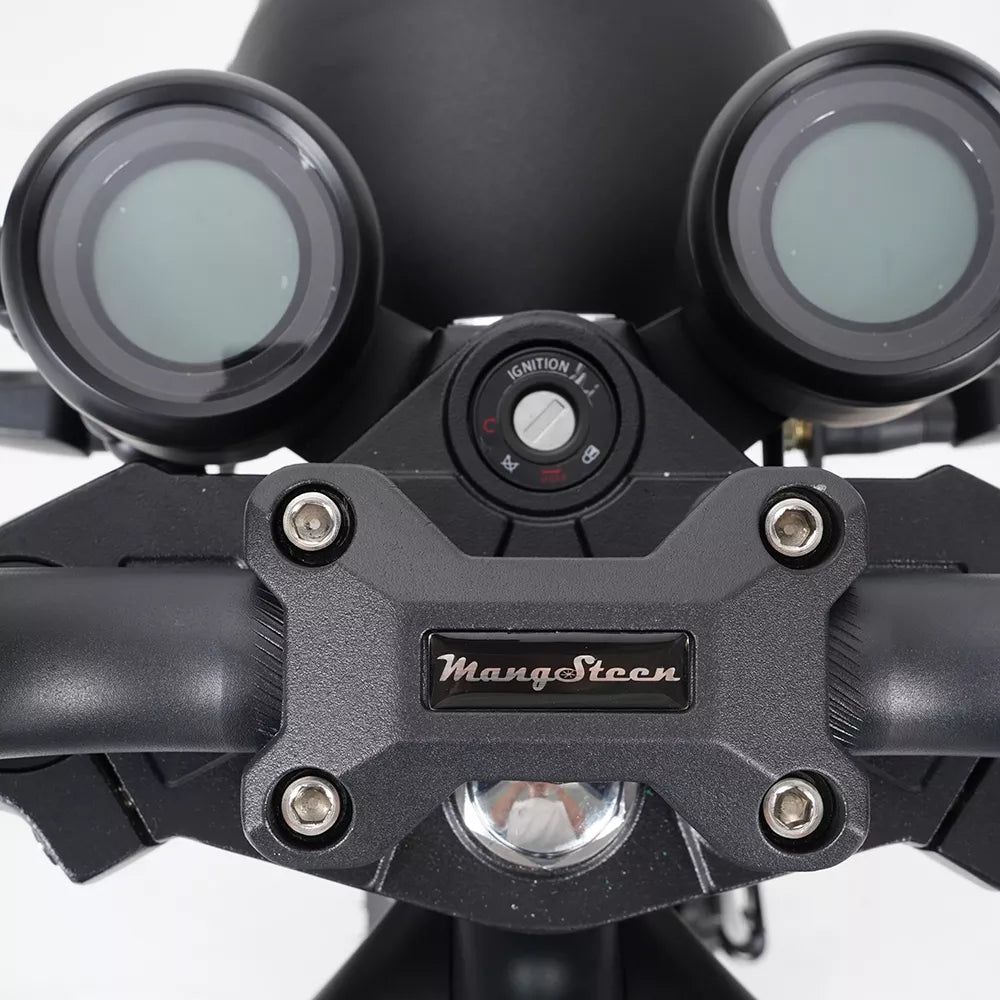 Mangosteen M1P Citycoco Electric Bike Scooter 2026 Upgraded
