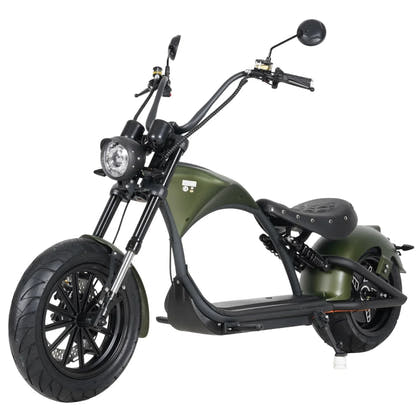 Mangosteen M1P Citycoco Electric Bike Scooter 2026 Upgraded