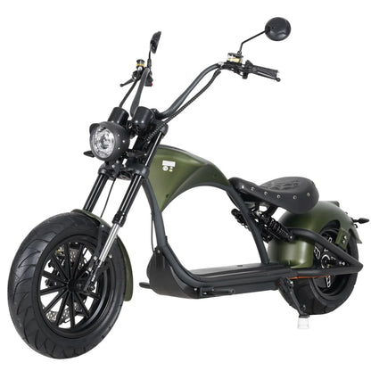 Mangosteen M1P Citycoco Electric Bike Scooter 2026 Upgraded