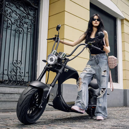 Mangosteen M1P Citycoco Electric Bike Scooter 2026 Upgraded