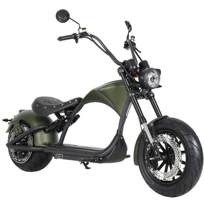 Mangosteen M1P Citycoco Electric Bike Scooter 2026 Upgraded