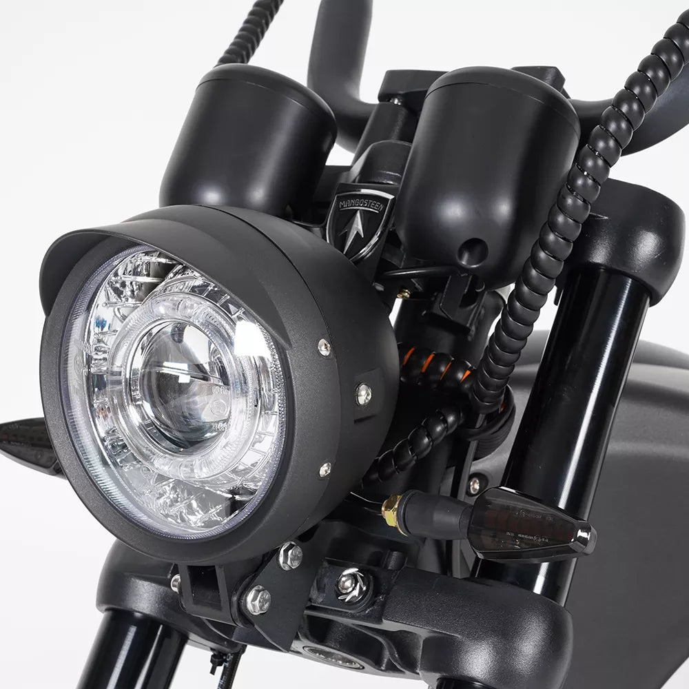 Mangosteen M1P Citycoco Electric Bike Scooter 2026 Upgraded