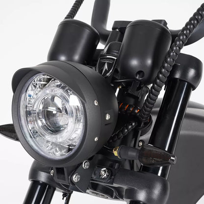 Mangosteen M1P Citycoco Electric Bike Scooter 2026 Upgraded