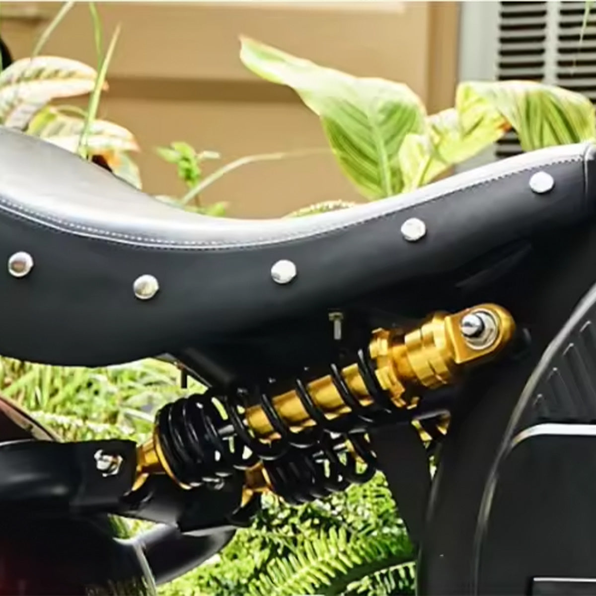 Mangosteen M8S Electric Chopper