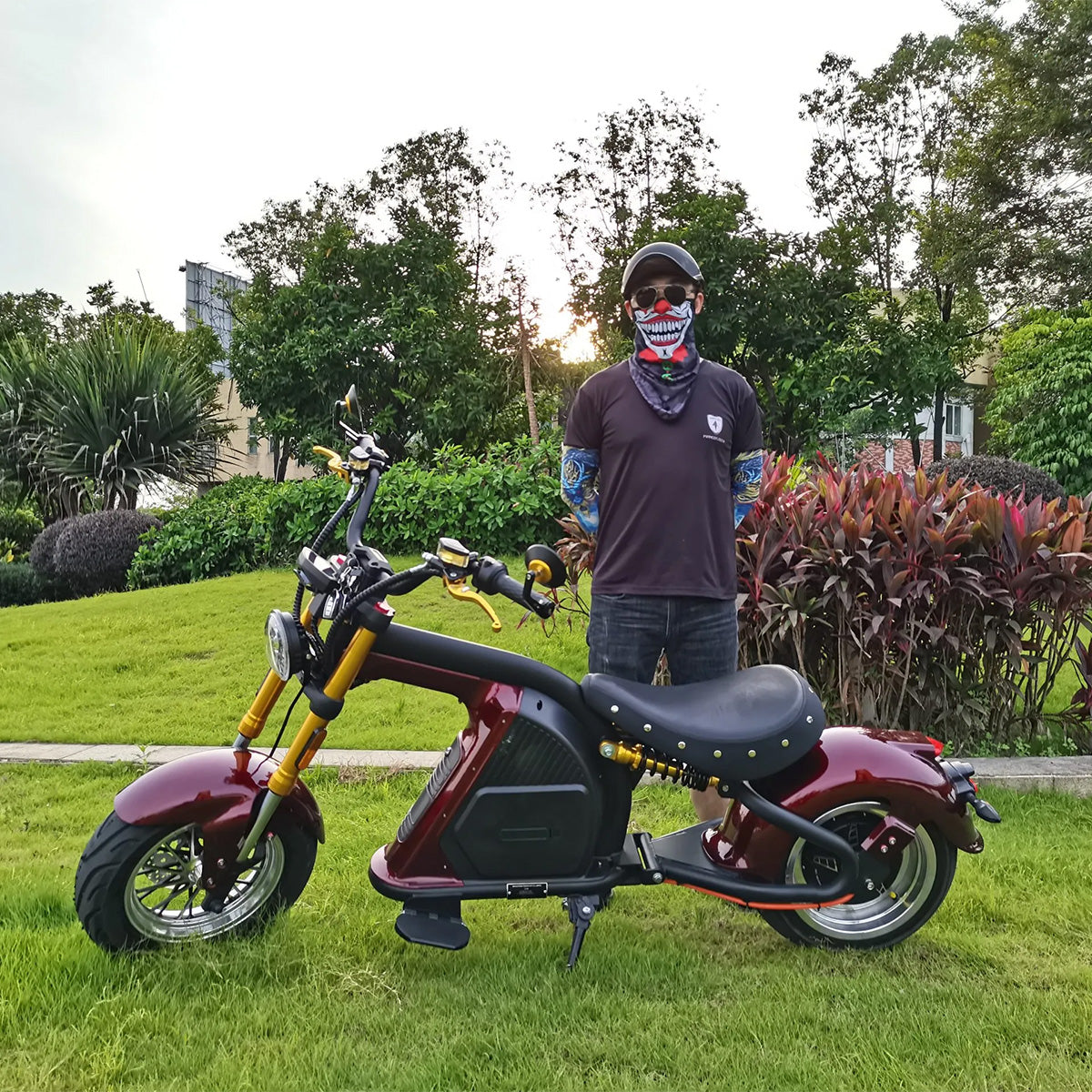 Mangosteen M8S Electric Chopper
