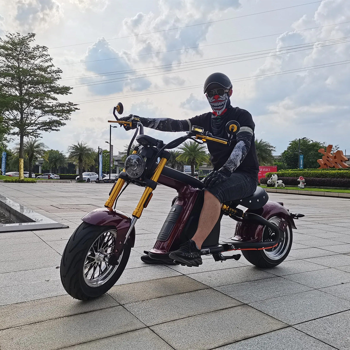 Mangosteen M8S Electric Chopper