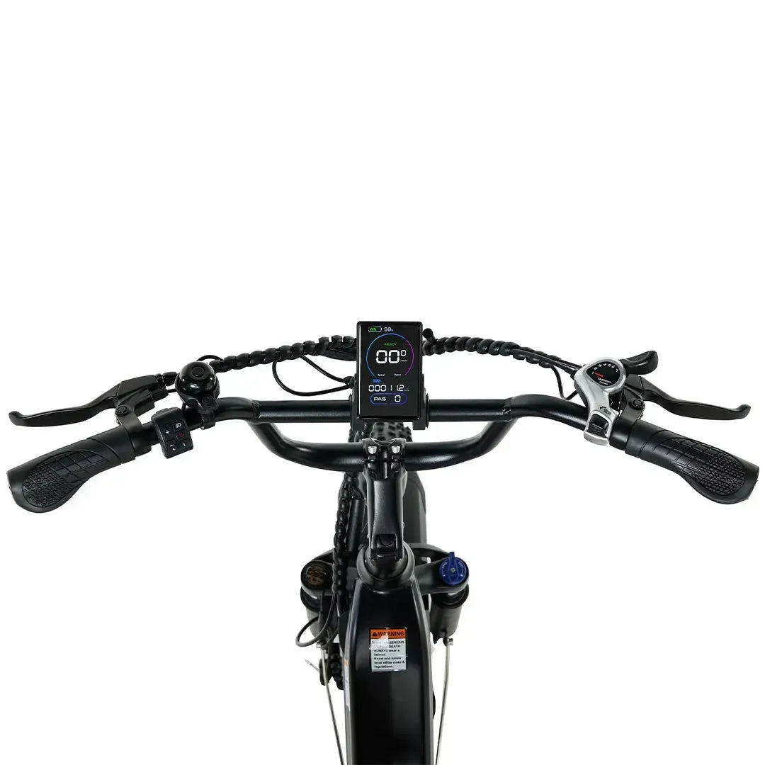 PIXAR Ride1 Fat-Tyre City Electric Bike