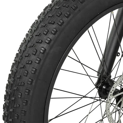 PIXAR Space1 Electric Bike Fat Tyre Long Range with Suspension up to 32 Km/h