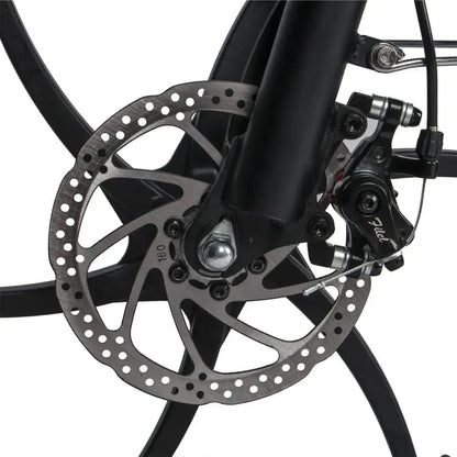 SAMEBIKE 20LVXD30-II Folding Electric Bike