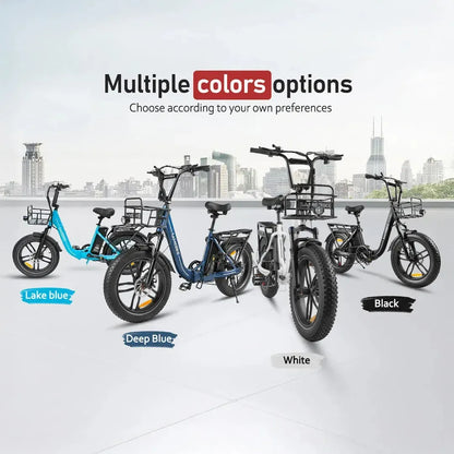 SAMEBIKE C05 Pro Foldable Fat Tyre E-Bike