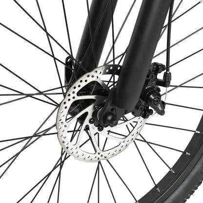 Elektryczny rower górski SAMEBIKE EBE2
