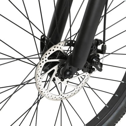 SAMEBIKE EBE2 Mountain Electric Bike
