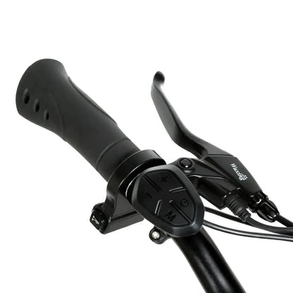 Elektryczny rower górski SAMEBIKE EBE2