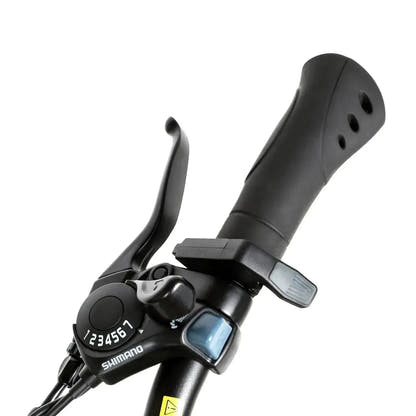 Elektryczny rower górski SAMEBIKE EBE2