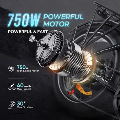 SAMEBIKE LOTDM200-II Step-Thru Electric Bike