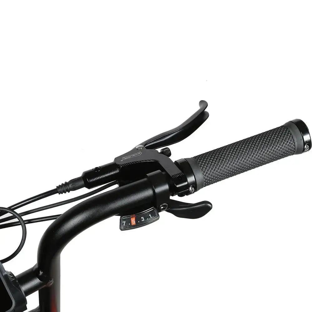 SAMEBIKE M20-I Fat Tyre Electric Bike