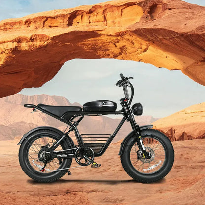 SAMEBIKE M20-I Fat Tyre Electric Bike