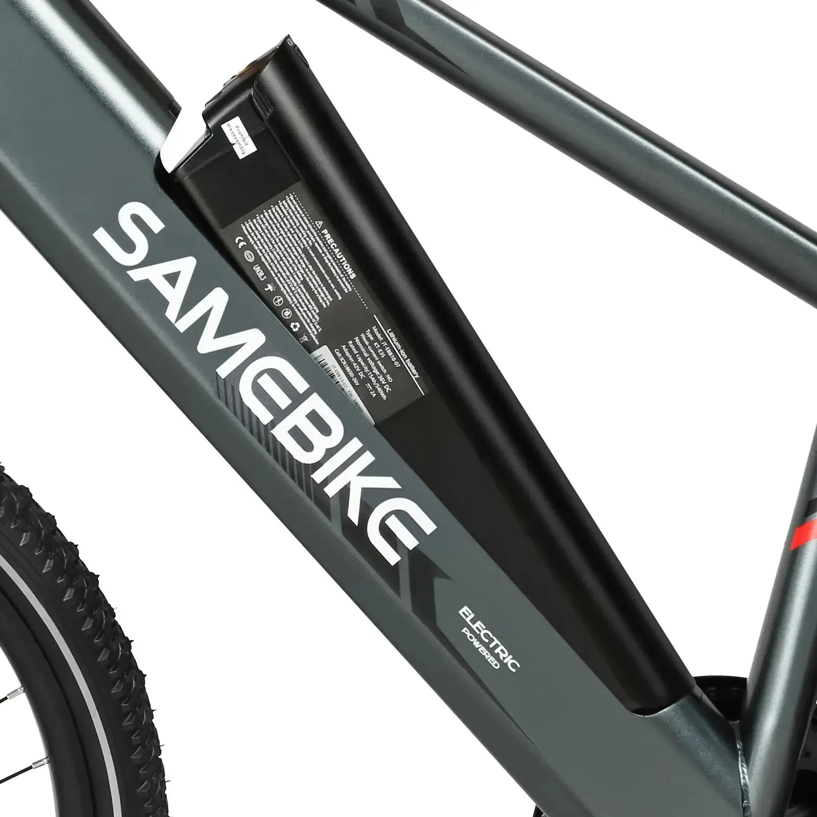 SAMEBIKE RS-A01 Men 1.0 Commuter E-Bike