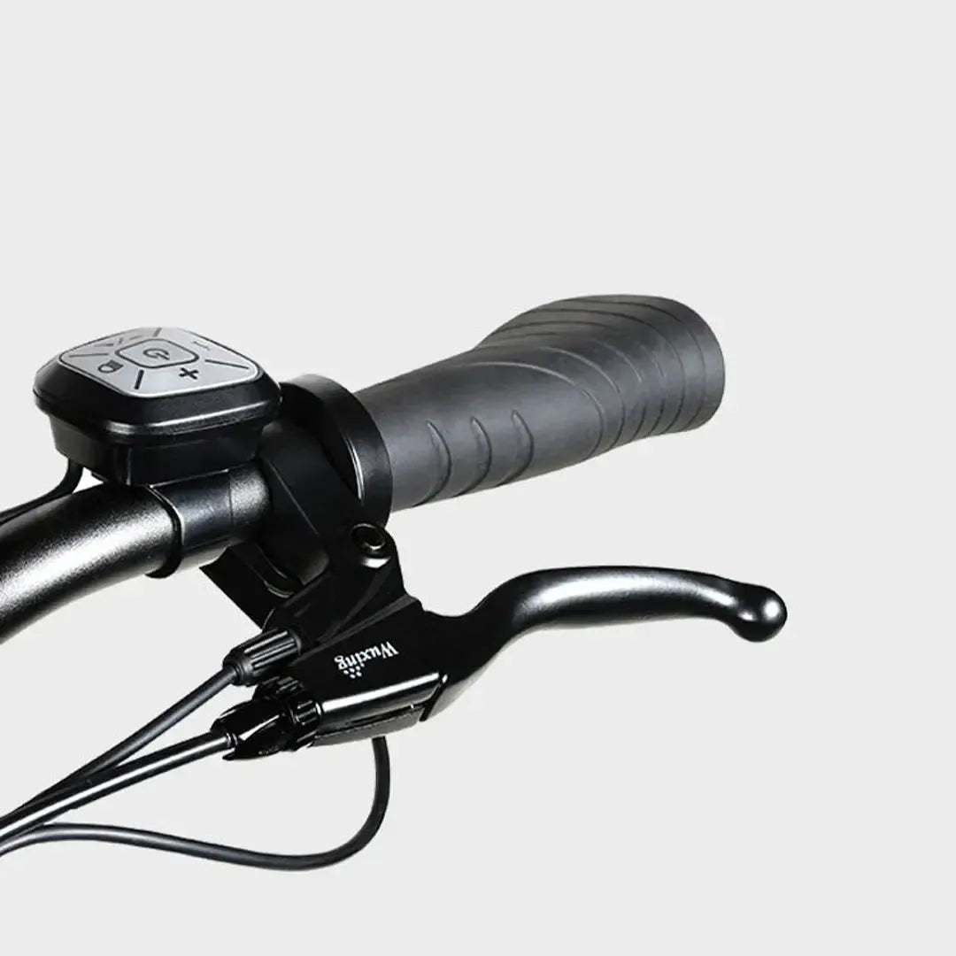 SAMEBIKE RS-A01 Pro Step Thru Electric Bike
