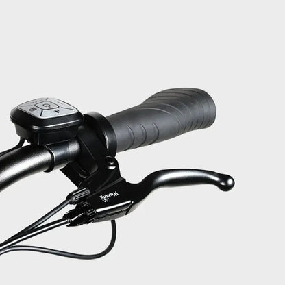 SAMEBIKE RS-A01 Pro Step Thru Electric Bike