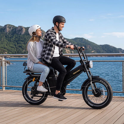 TESWAY X7 AWD electric bike cargo configuration