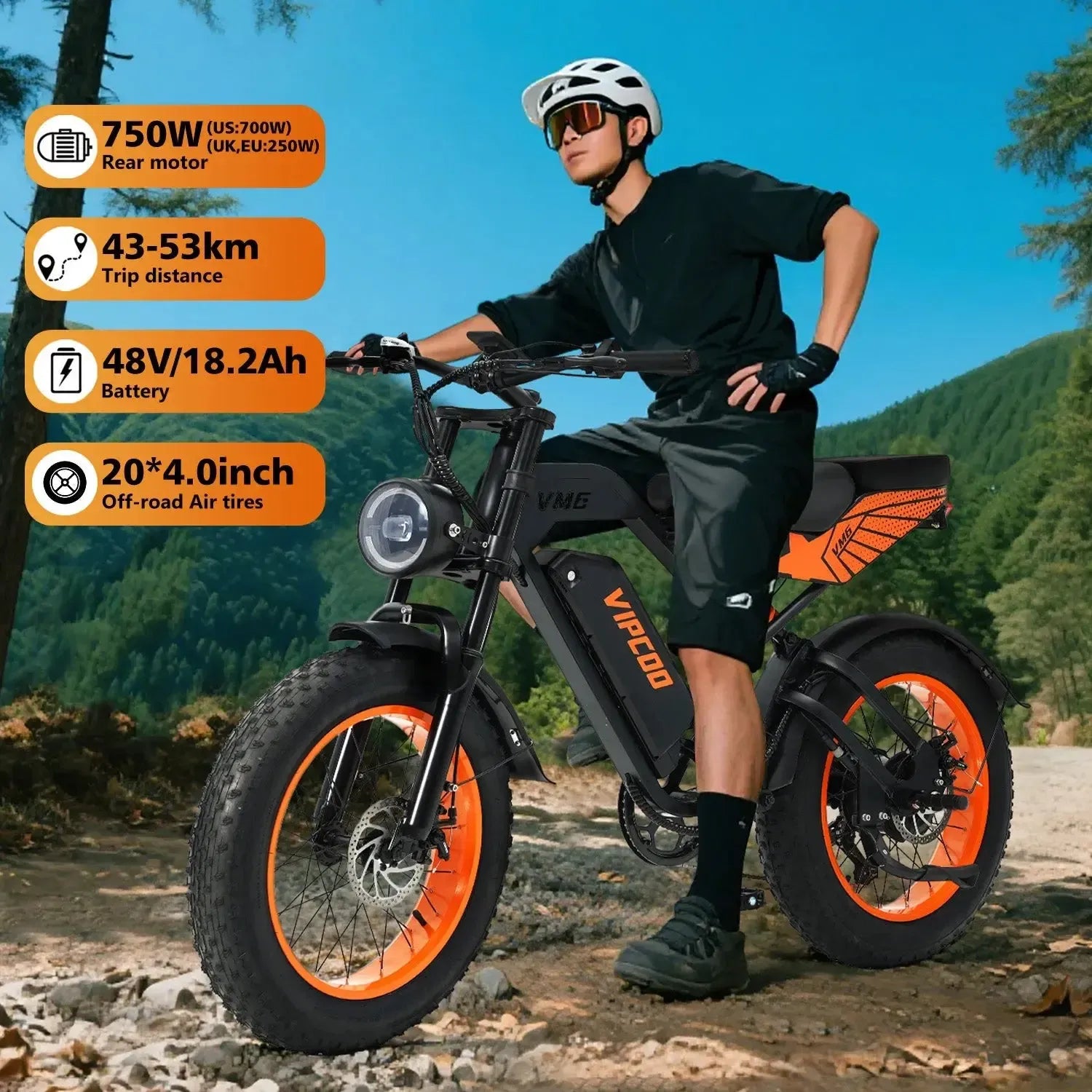 VIPCOO VM6 Fat Tire Electric Bike