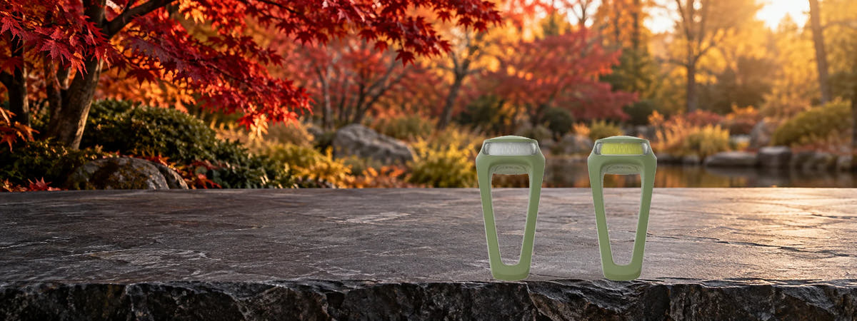 Knog Frog USB-C Bicycle Light Twinpack – Olive in an autumn setting for Bike & Scooter Lights