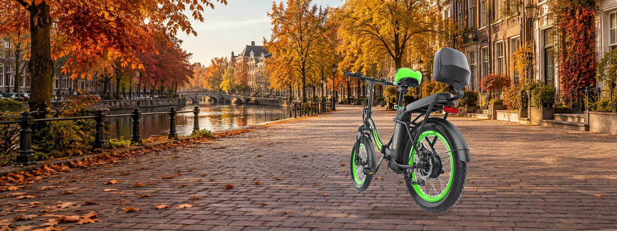 HIDOES C1 Electric Bike in an autumn setting for City & Commuter Electric Bikes