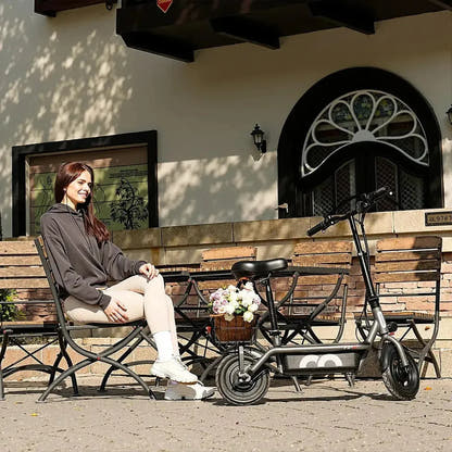 iScooter F2 Electric Scooter with Seat Foldable Basket for Adults up to 30 Km/h