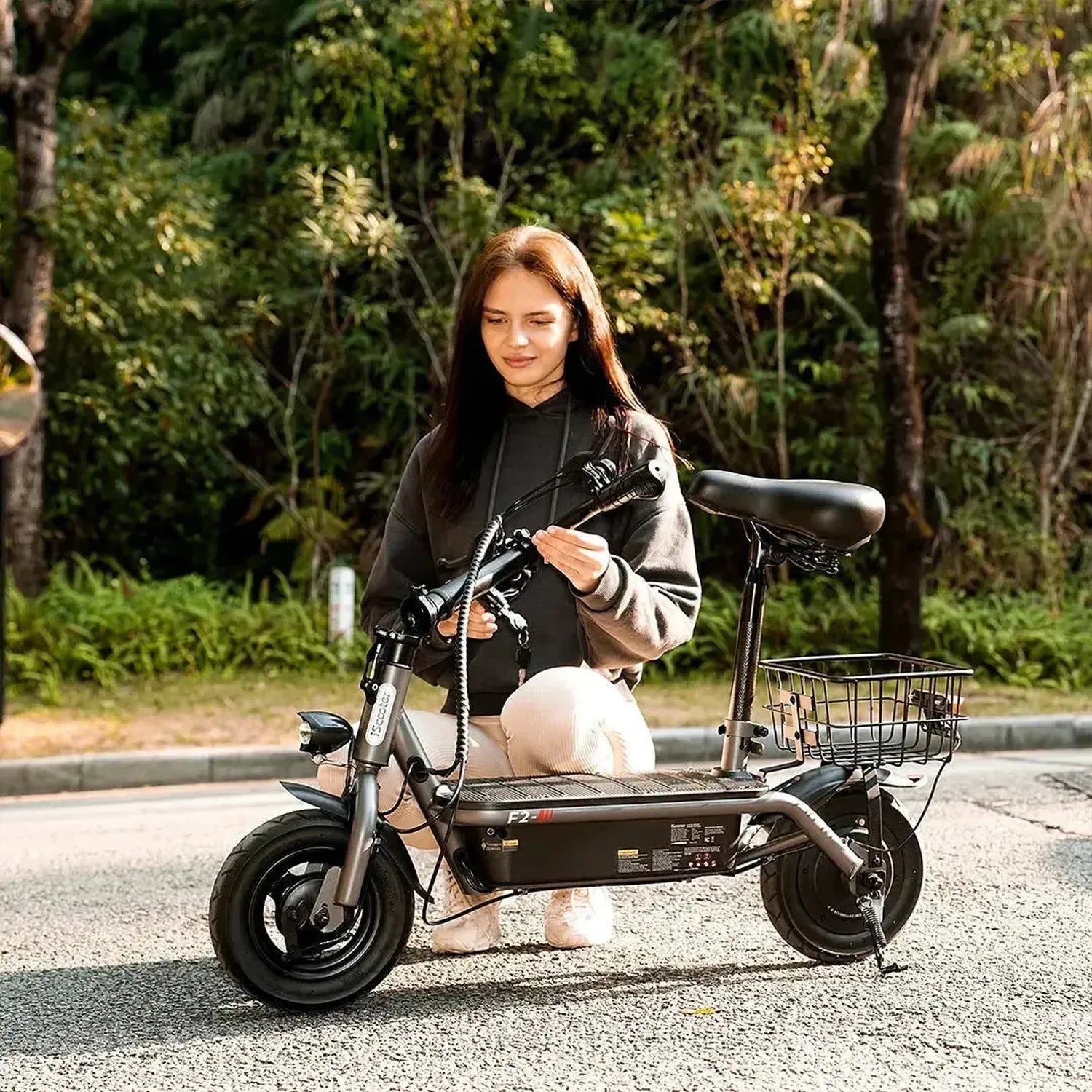 iScooter F2 Electric Scooter with Seat Foldable Basket for Adults up to 30 Km/h