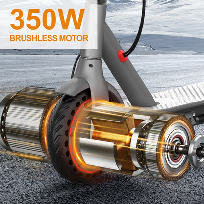 LADPED LP60 350W front hub motor illustration supplied by AOVO